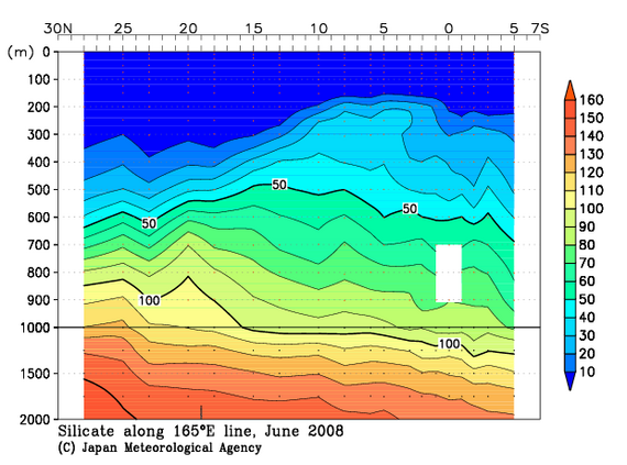 北西太平洋域の2008年夏季のケイ酸塩