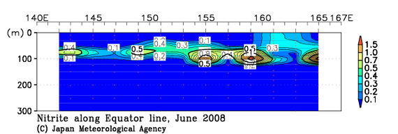 北西太平洋域の2008年夏季の亜硝酸塩