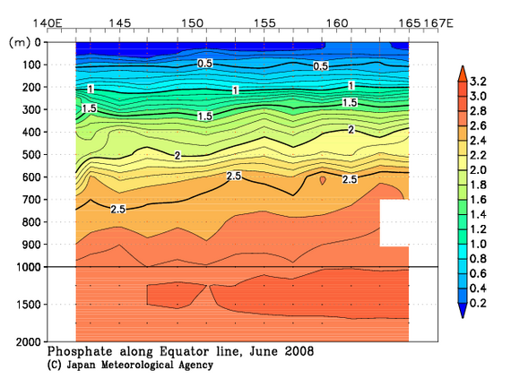 北西太平洋域の2008年夏季のリン酸塩