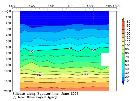 北西太平洋域の2008年夏季のケイ酸塩