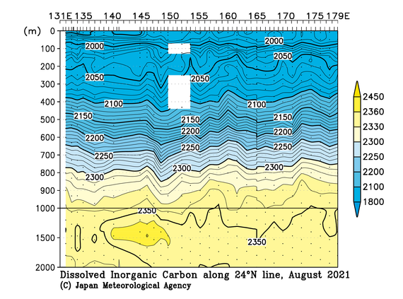 北西太平洋域の2021年夏季の全炭酸