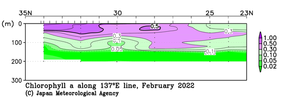 日本南方の2022年冬季のクロロフィル