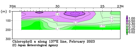 日本南方の2023年冬季のクロロフィル