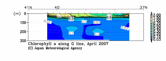 日本海の2007年春季のクロロフィル
