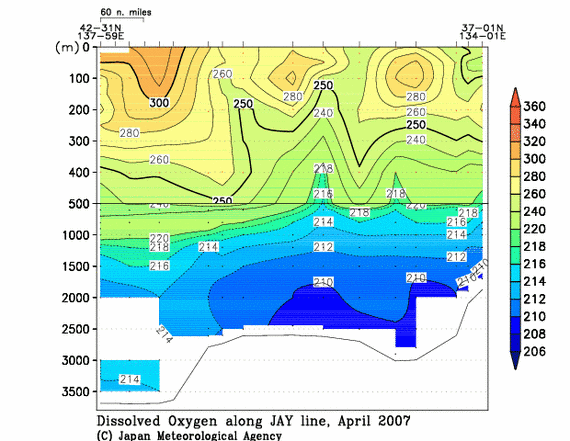 日本海の2007年春季の溶存酸素量