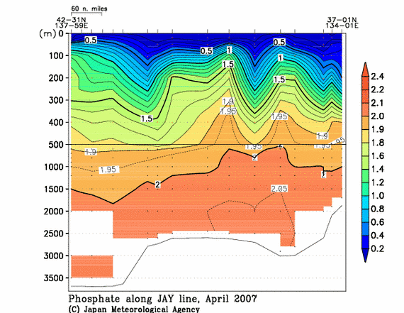 日本海の2007年春季のリン酸塩