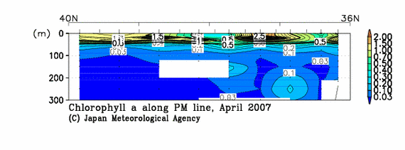 日本海の2007年春季のクロロフィル