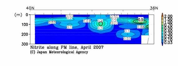 日本海の2007年春季の亜硝酸塩