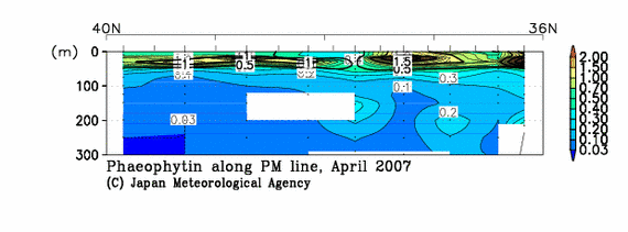 日本海の2007年春季のフェオフィチン