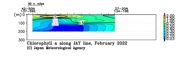 日本海の2022年冬季のクロロフィル