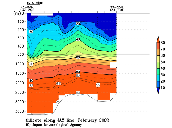 日本海の2022年冬季のケイ酸塩