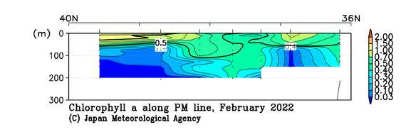 日本海の2022年冬季のクロロフィル