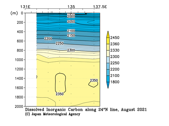 九州・沖縄海域の2021年夏季の全炭酸