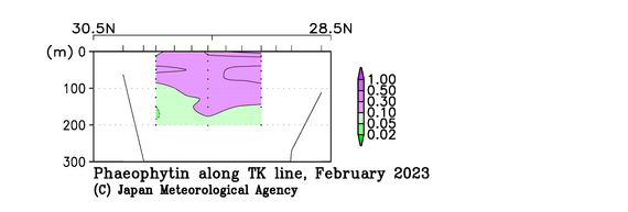 九州・沖縄海域の2023年冬季のフェオフィチン