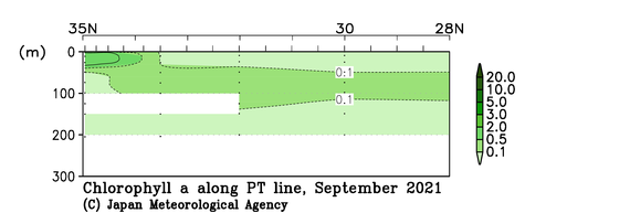関東沖海域の2021年夏季のクロロフィル