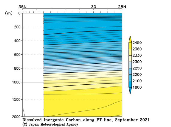 関東沖海域の2021年夏季の全炭酸