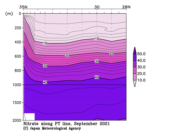 関東沖海域の2021年夏季の硝酸塩