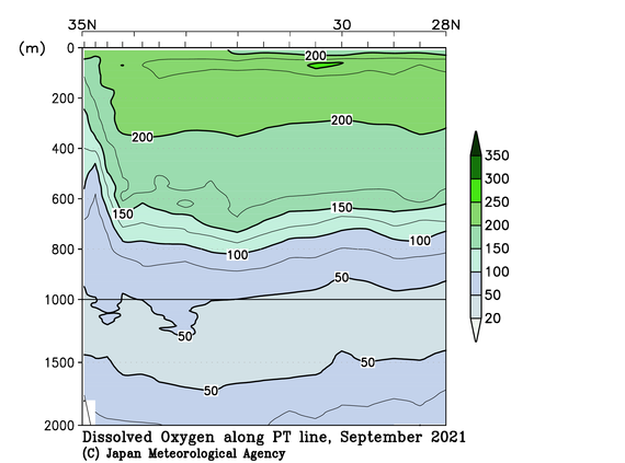 関東沖海域の2021年夏季の溶存酸素量
