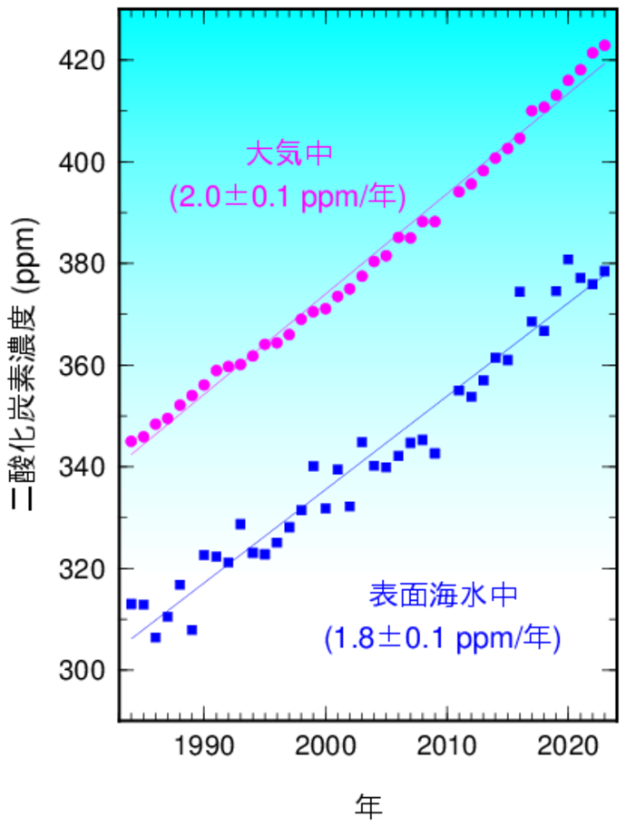 東経137度線（北緯7～33度）で平均した冬季の二酸化炭素濃度の経年変化
