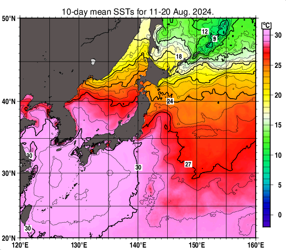 日本近海の旬平均海面水温分布図（2024年8月中旬）