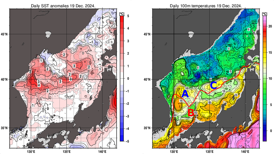 日本海の海面水温平年差分布図および深さ100mの水温分布図（12月19日）