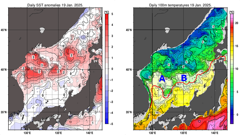 日本海の海面水温平年差分布図および深さ100mの水温分布図（1月19日）