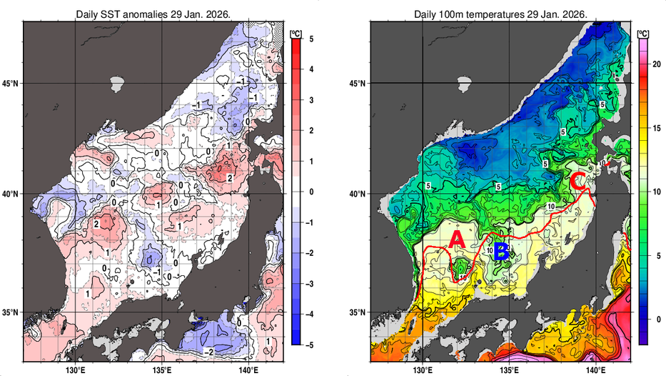 日本海の海面水温平年差分布図および深さ100mの水温分布図（1月29日）