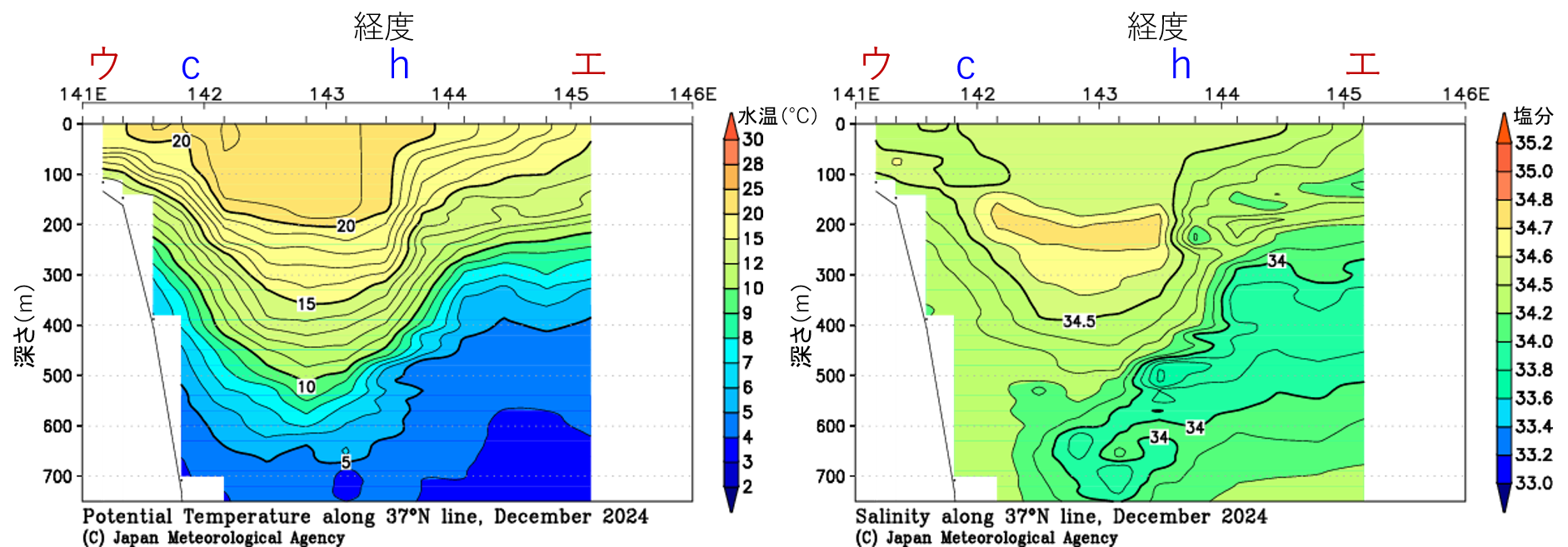 水温塩分37度