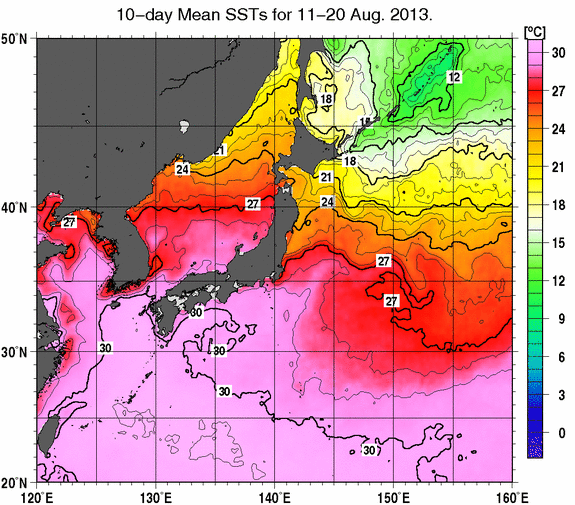 2013年8月中旬の旬平均海面水温