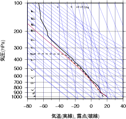エマグラム画像