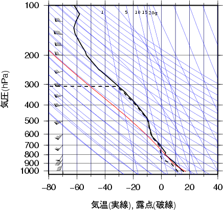 エマグラム画像