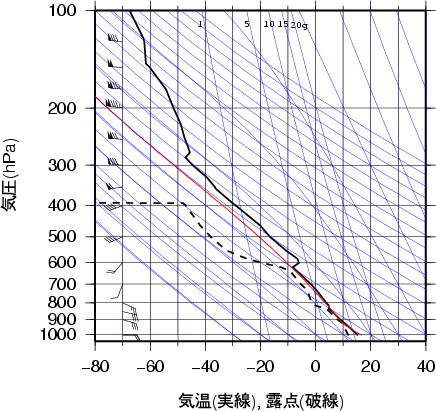 エマグラム画像