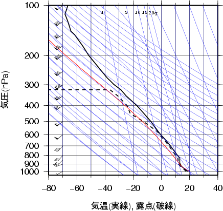 エマグラム画像
