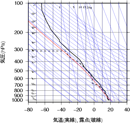 エマグラム画像