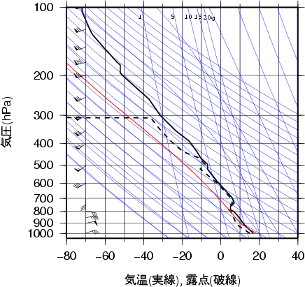 エマグラム画像
