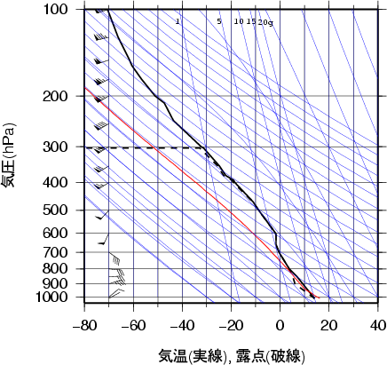 エマグラム画像