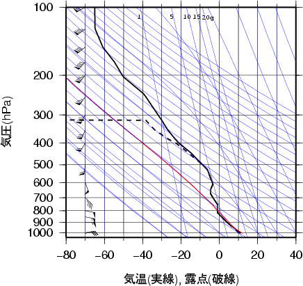 エマグラム画像