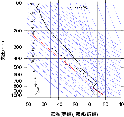 エマグラム画像