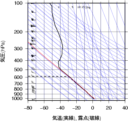 エマグラム画像