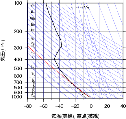 エマグラム画像