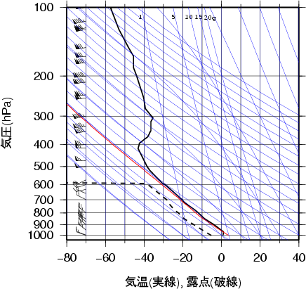 エマグラム画像