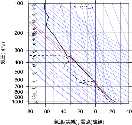 エマグラム画像