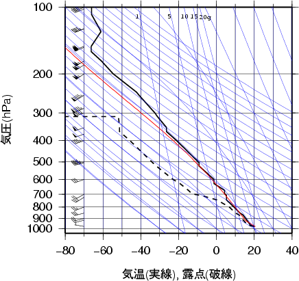 エマグラム画像