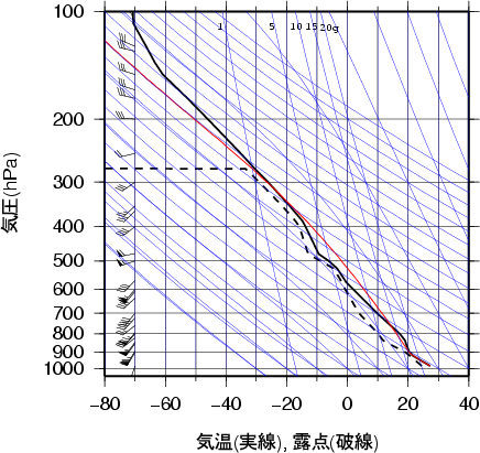 エマグラム画像