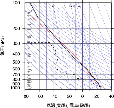 エマグラム画像