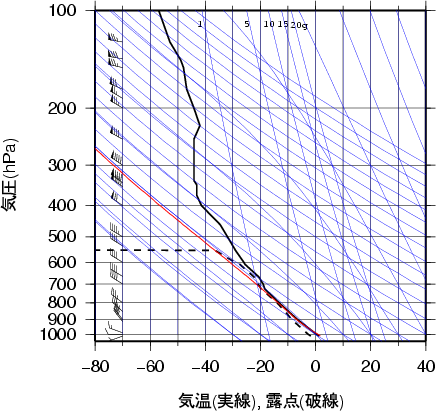 エマグラム画像