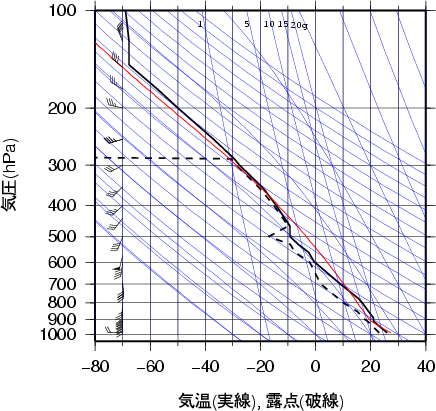 エマグラム画像