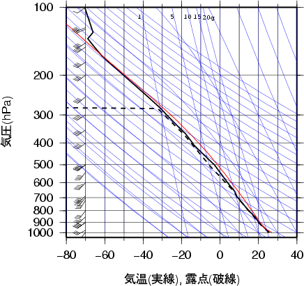 エマグラム画像