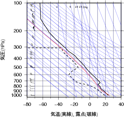 エマグラム画像