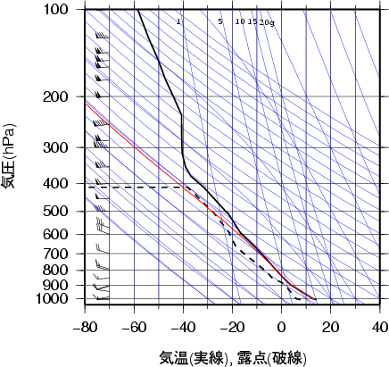 エマグラム画像